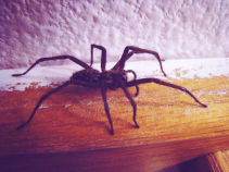 Schermafbeelding 2014-09-18 om 12.57.24